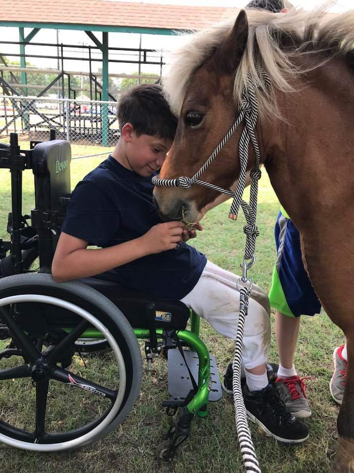 There is one thing I know for a fact, we make dreams come true at Diego Ranch Inc.  One of our best quotes from a client said, 'When I ride at Diego Ranch, all my disabilities disappear, and I'm like everyone else.'  THIS IS A POWERFUL STATEMENT AND WHY YOUR DONATIONS ARE NEEDED.