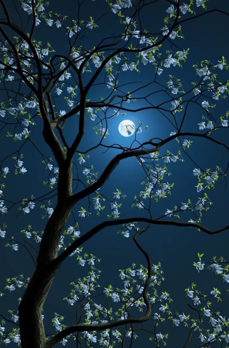 M1ONLOVER's tweet photo. Full Moon lover. https://t.co/1W2L8CJlSi