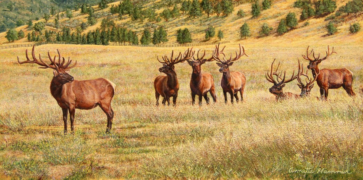 Elk in the Meadow, by Annette Hammer: featured in the American Women Artists 2024 Annual Online Juried Show. You can view all of the works from the show online at bit.ly/2024-Online-Ju…. #Oil #Painting #AWAOnlineJuriedShow2024 #WomenArtists #WomenInArt #OnlineArtShow