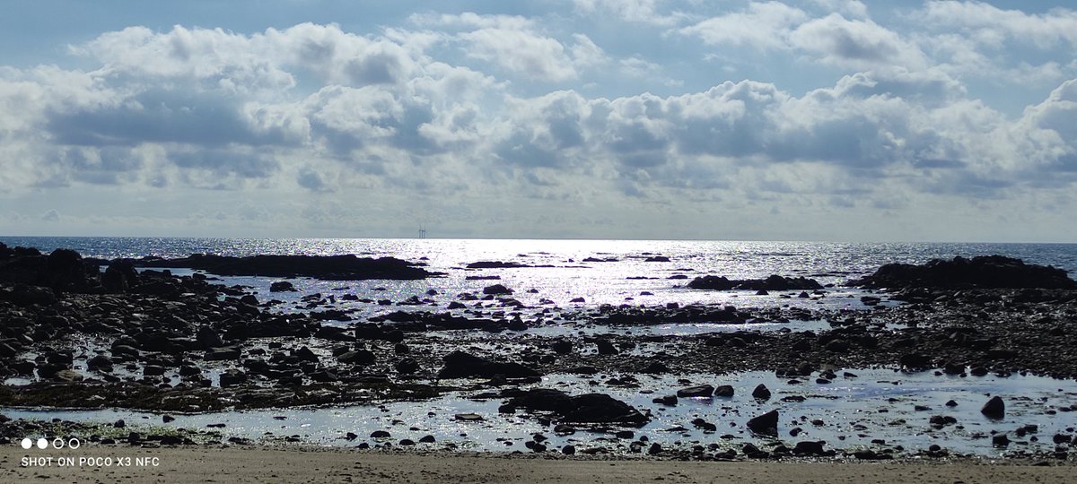 Dia europeu do mar 💦