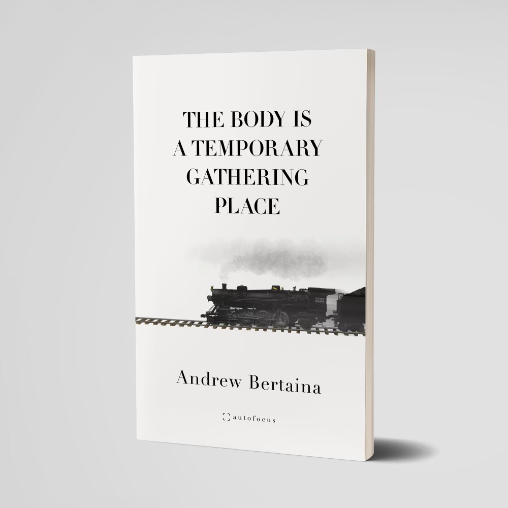 Thrilled to have an interview about my essay collection, The Body Is A Temporary Gathering Place, up at TBR. 'An interview series with authors of newly released/forthcoming, interesting books,' which is run by the wonderful @lesliepwriter workinprogressinprogress.com/2024/05/tbr-bo…