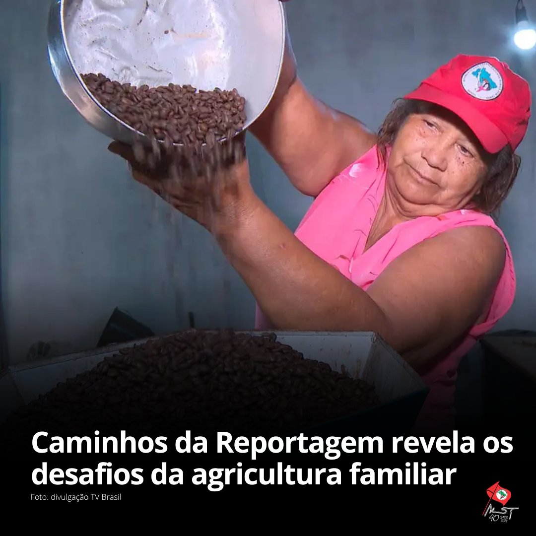 📺 A reportagem percorreu diversos estados para mostrar a produção da agricultura familiar nas áreas conquistadas pelo MST.

 🗞️  CONFIRA A REPORTAGEM: mst.org.br/2024/05/20/cam…   

#MST40Anos #TodosPelaReformaAgrária