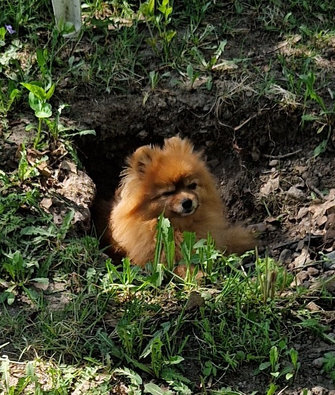 Markus Granlund tweet media