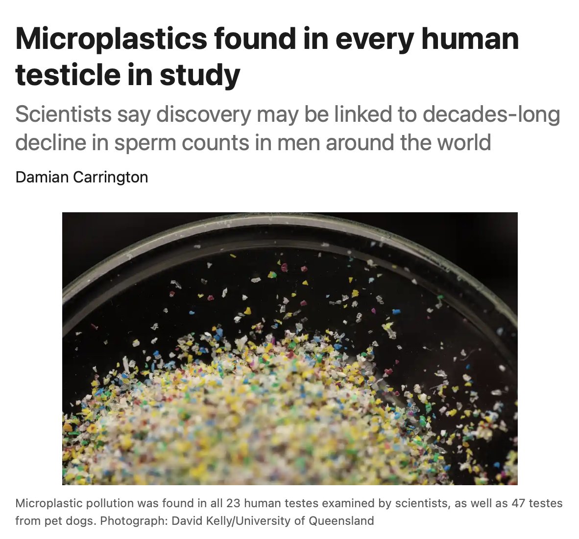 The highly pro-inflammatory and pervasive microplastics and nanoplastics: previously found in arteries and associated with increased in heart attacks and strokes, now in all human testes that were assessed. 
theguardian.com/environment/ar…