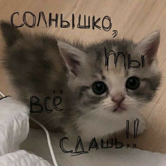 Скоро экзамены. Дружеское напоминание: