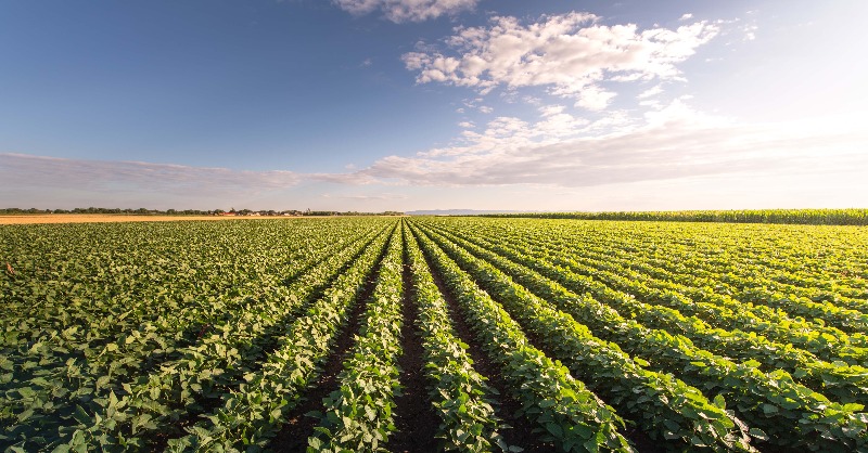CleanFuelsAA's tweet photo. In part 4 of This Week in Agribusiness by @farmdaily, Mike Pearson &amp; @kovarikdc discuss updates to the #GREET model &amp; the need for prompt guidance from @USDA &amp; @USTreasury for the Clean Fuel Production Credit, which begins January 1. #BetterCleanerNow