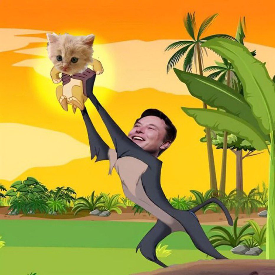 CryptoSmite's tweet photo. @CryptoKaleo People are fumbling $KIKI until they see this community https://t.co/TkdBEqMo6p