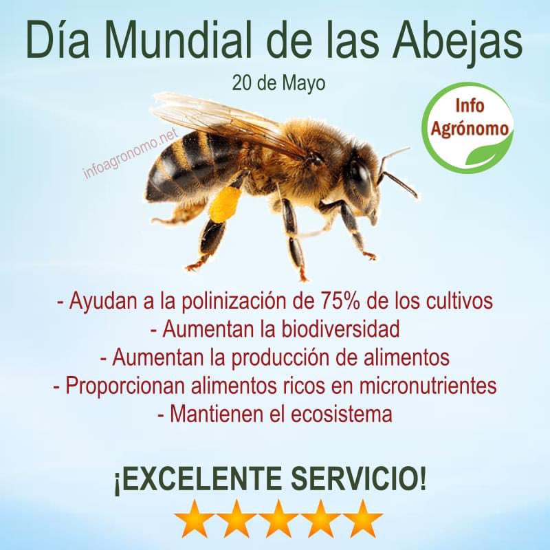 InfoAgronomo's tweet photo. Día Mundial de las Abejas https://t.co/W2CgoZpz9K