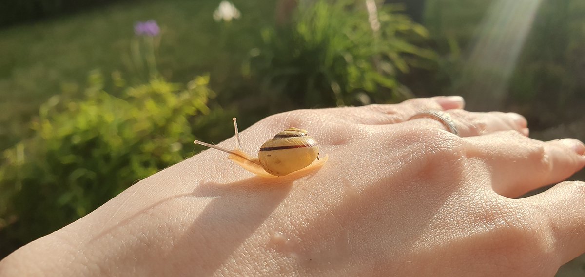 attie 🇺🇦 tweet media