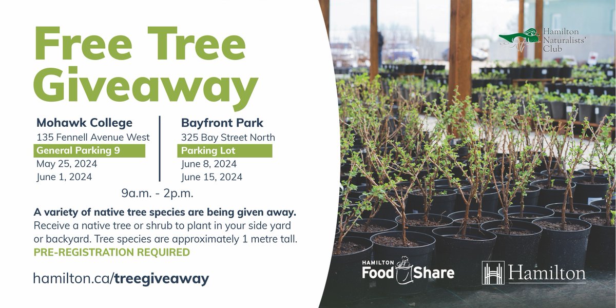 Hey #HamOnt, we've partnered with the <a href="/cityofhamilton/">City of Hamilton</a> to host the 2024 Free Tree Giveaway! 

Want a native tree or shrub for your side yard or backyard? Pre-register at hamilton.ca/treegiveaway 

One tree per property. Must present driver's license or property tax bill at pick up.