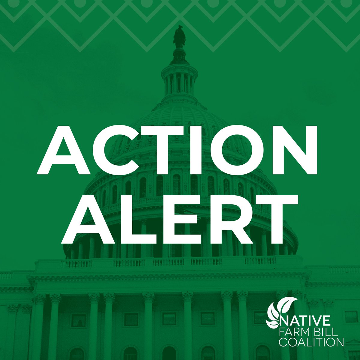 We need your support! This week is the last chance to urge Congress staffers to expand the Buy Indian Act to the USDA in the next Farm Bill. Learn more: nativefarmbill.com/action-alerts