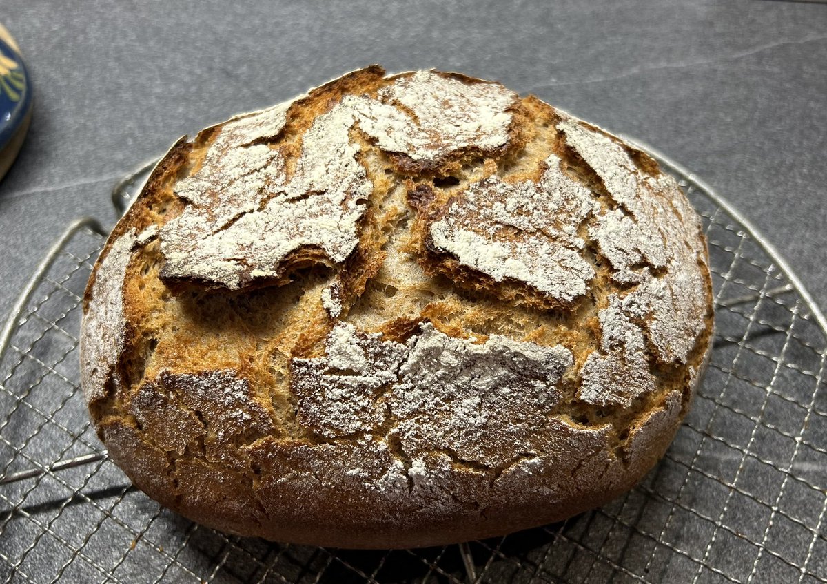 Ich wollt ihr könntet es auch riechen 🥰😋👌

#Brotbacken #selbstbacken #Brot #Sauerteig