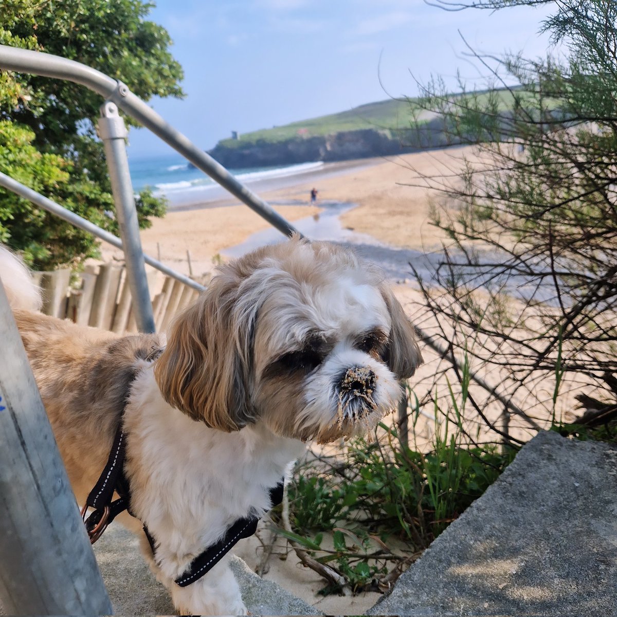 Anthony Galloway (@avlvintage02) on Twitter photo 