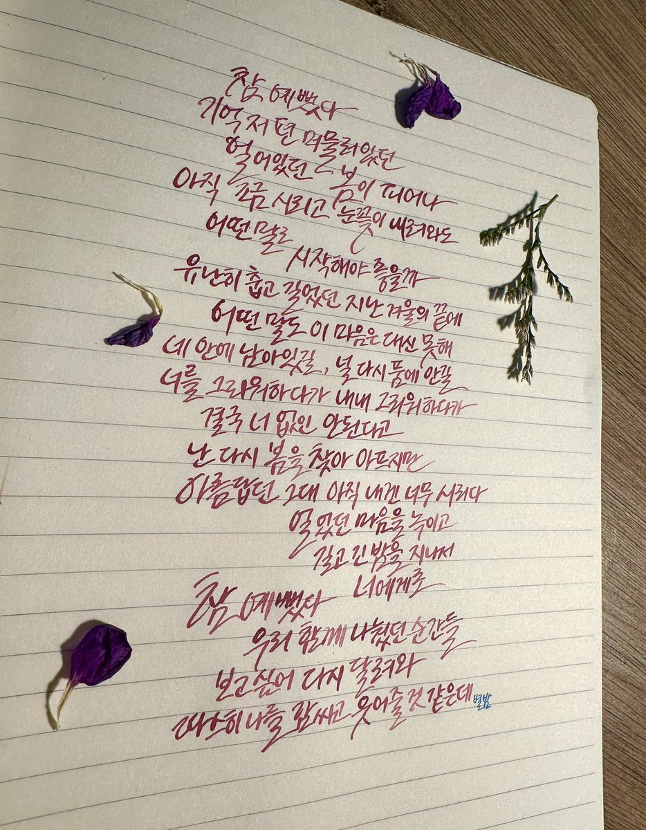 별밤 tweet media