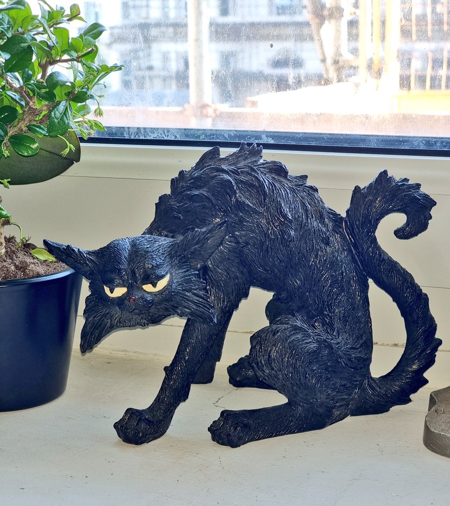 my new addition for the craftroom. I might need a name ong... 😅🐈‍⬛️