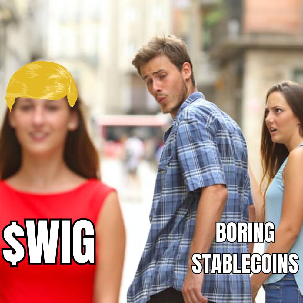 TrumpsWigETH's tweet photo. @realdogen @BasedBrett $WIG is here, we don't need hat . https://t.co/WyL9Og0bcW