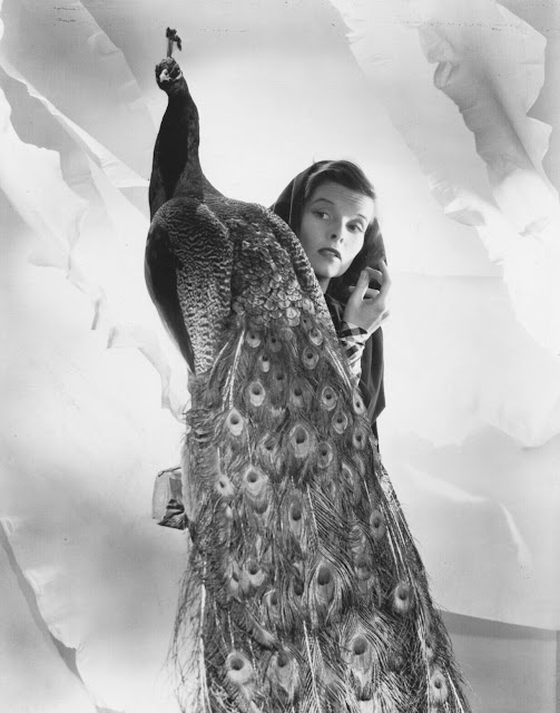 Fantastical portrait of Katharine Hepburn with a peacock, as photographed by Cecil Beaton in 1935.