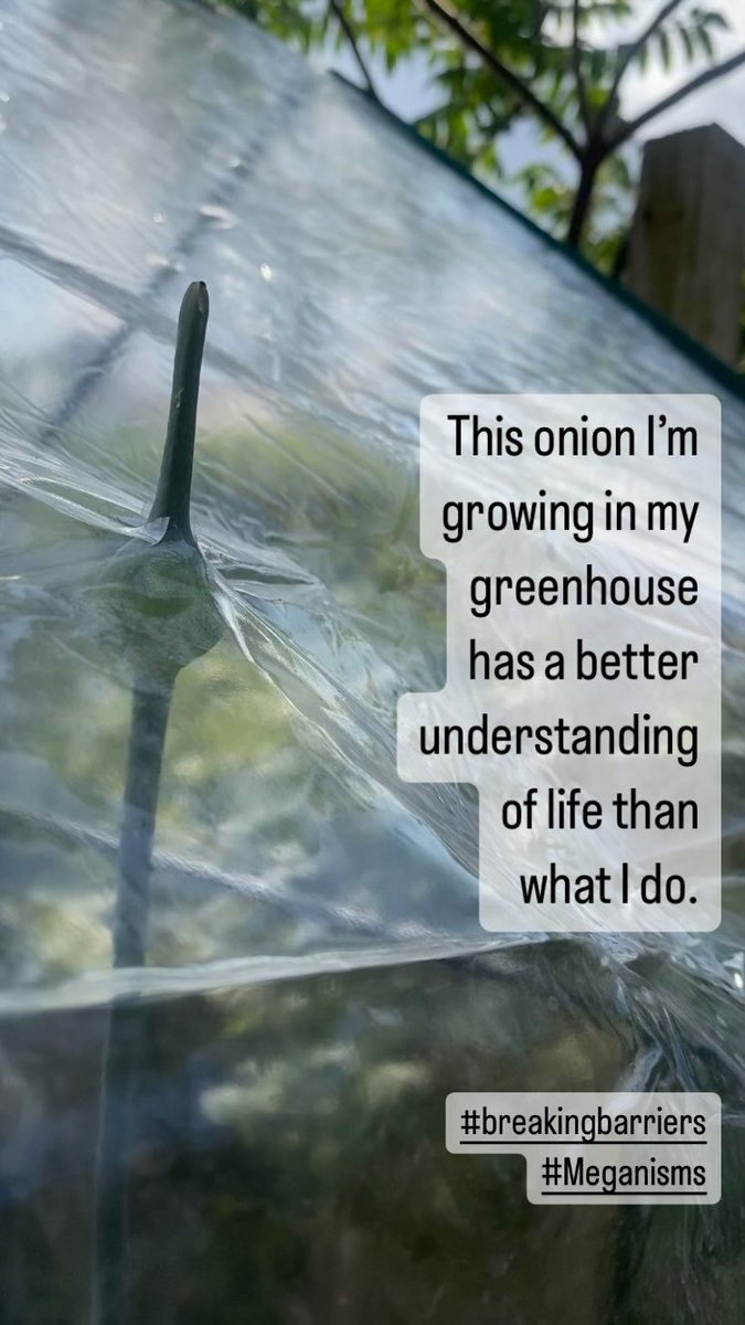 megan kyte💙 tweet media