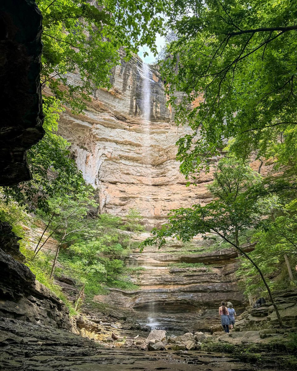 Can you guess what the most-loved feature is on #AllTrails? 😉 Give us your best guess and share your favorite(s) in the comments below👇 📸 @jesshikes_ar 📍Hemmed in Hollow Trail, Arkansas bit.ly/4aiLXwF
