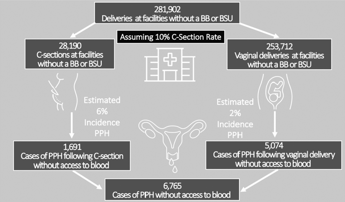 If Bihar scales capacity to the @WHO minimum recommended cesarean delivery (CD) rate of 10%, this means approximately 28,000 CDs and 254,000 vaginal deliveries would be performed with a projected 6765 cases of PPH occurring at facilities without banked blood
#MaternalHealth #PPH