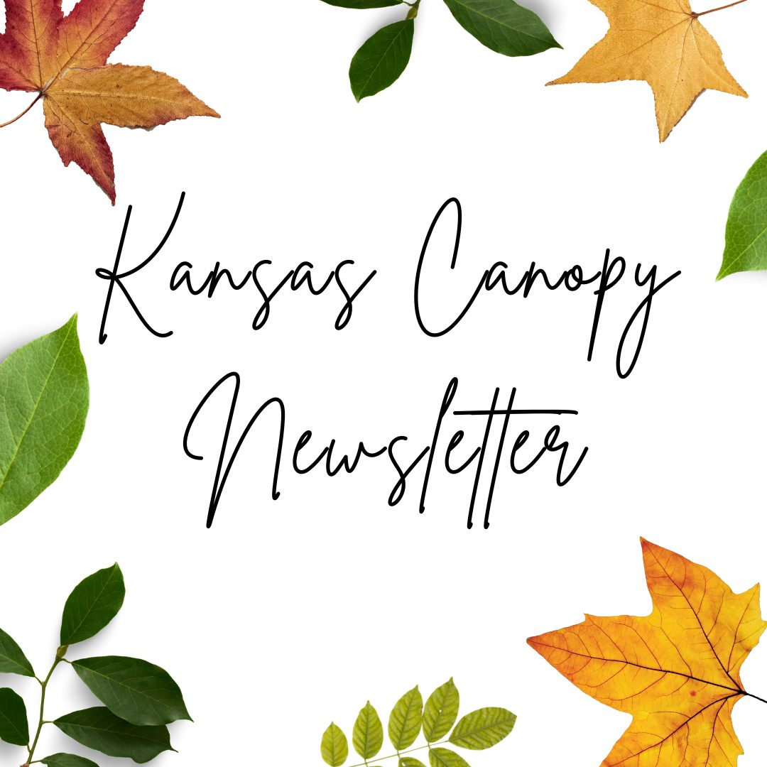 The June edition of the Kansas Canopy Newsletter is just around the corner, are you signed up? This monthly newsletter is a great way to stay up to date on events, agency updates, and forestry and wildland fire resources. Sign up today: bit.ly/3tWCGen