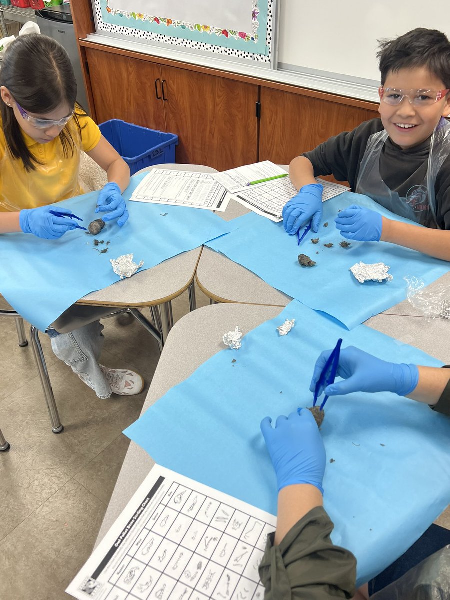 rmarrero_PHE's tweet photo. Owl Pellet Lab! #MissionIsPossible https://t.co/HWln4k6aaz