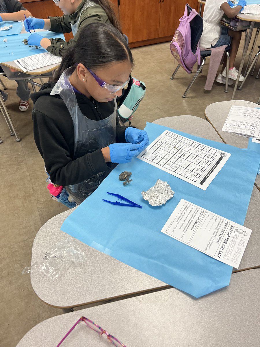rmarrero_PHE's tweet photo. Owl Pellet Lab! #MissionIsPossible https://t.co/HWln4k6aaz