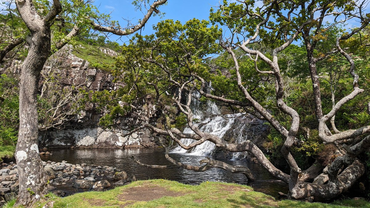 A few of Eas Fors Waterfall, Isle of Mull. #OutAndAboutScotland