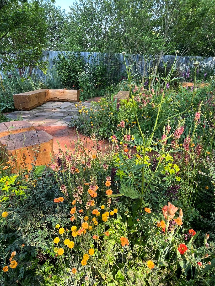 Hilary McGrady (@hilarymcgrady) on Twitter photo Just amazing to see our founder Octavia Hillβs vision and ethos brought to life as a green oasis at #ChelseaFlowerShow - and now winner of the Childrenβs Choice Award too! <a href="/GardenCentre/">Blue Diamond Garden Centres</a> <a href="/nationaltrust/">National Trust</a> <a href="/AnnMariePowell/">Ann-Marie Powell</a> Just amazing to see our founder Octavia Hillβs vision and ethos brought to life as a green oasis at #ChelseaFlowerShow - and now winner of the Childrenβs Choice Award too! <a href="/GardenCentre/">Blue Diamond Garden Centres</a> <a href="/nationaltrust/">National Trust</a> <a href="/AnnMariePowell/">Ann-Marie Powell</a>