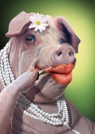 Hey <a href="/elonmusk/">Elon Musk</a>, renaming Twitter to 'X' is like👇👇
It's STILL a...😡🤮🇺🇸 #FreeSpeech #LindaMustGo!