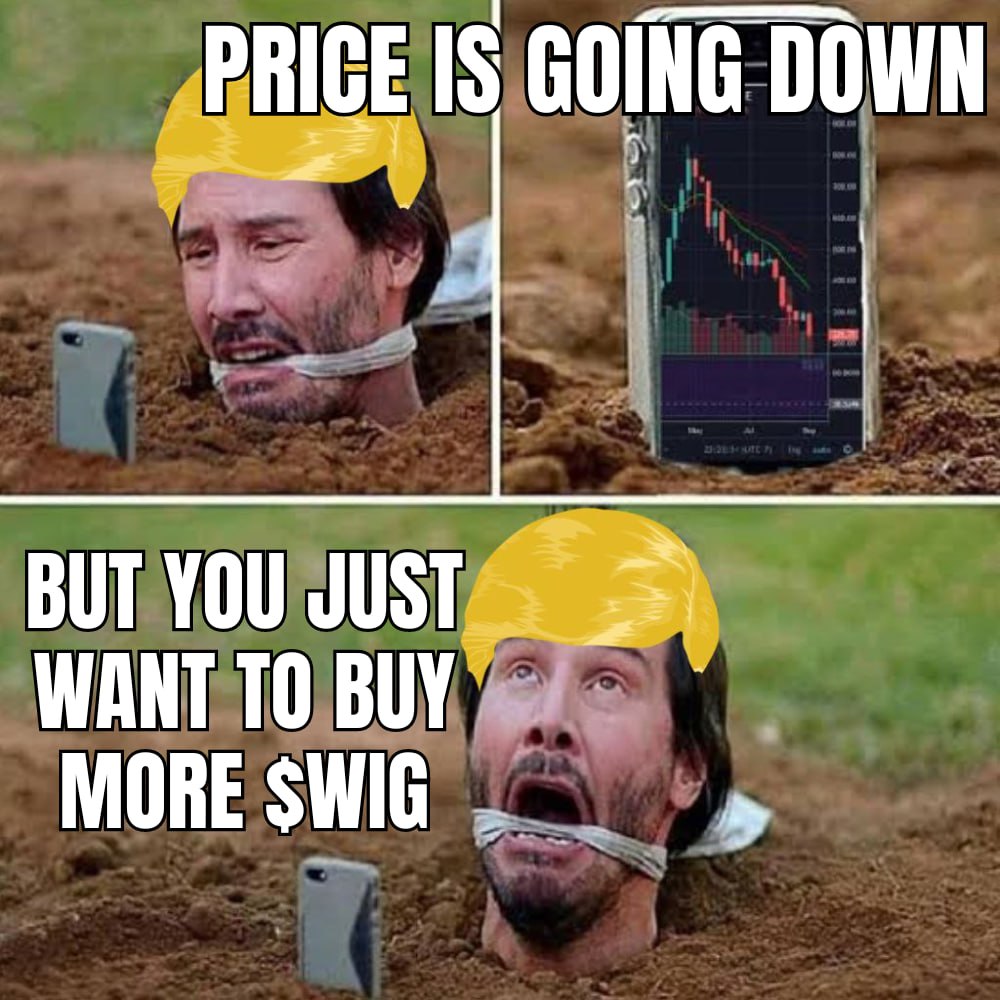 TrumpsWigETH's tweet photo. @Poe_Ether Looks like $WIG could be goin on its next run. https://t.co/TnKCPKgJts