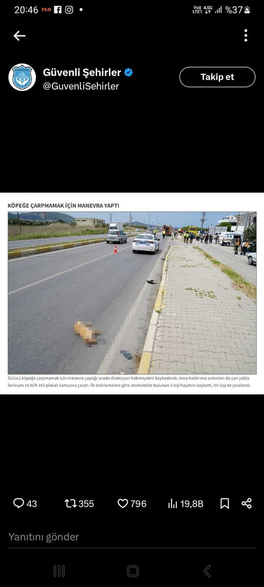 Güvenli sokaklar derneğinin tetikçisi Güvenli sokaklar sayfasının photoshop ile koyduğu köpek videoda yok
