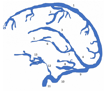 AmuGranada's tweet photo. 🧠Nuevo enfoque en el ictus isquémico: El crucial papel del flujo venoso cerebral en el pronóstico y tratamiento.

https://t.co/JJgfvaq5Cf https://t.co/LsGhNBamUS