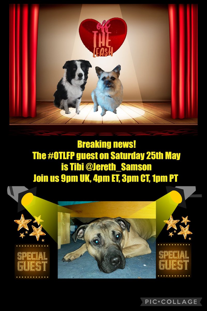 📌 Join us tomorrow (Saturday) for #OTLFP, a Twitter chat about #pets, by pets! Guest: Tibi @jereth_samson Hosts: @Pixie_Tooth & @MillieOTLFP Starts 4pm ET, 3pm CT, 2pm MT, 1pm PT, 9pm UK All are welcome. Just search & follow #OTLFP!