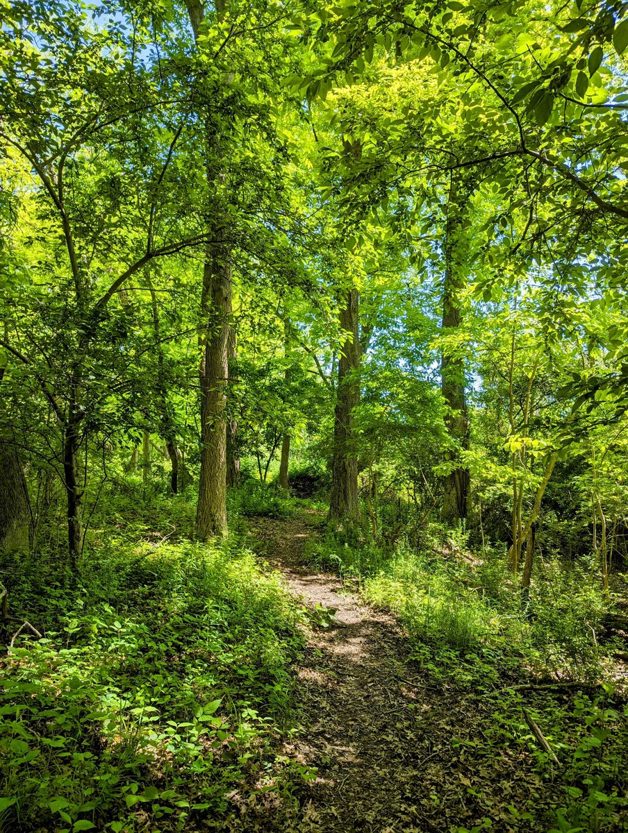 NYCParks's tweet image. Yes, this is New York City.
📍Pelham Bay Park, Bronx