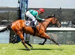 The Charleston is carded to run in race 8 at Kenilworth on Tuesday. The Candice Bass-Robinson inmate has Morne Winnaar in the saddle for Cape B Stakes over 5f (1000m).