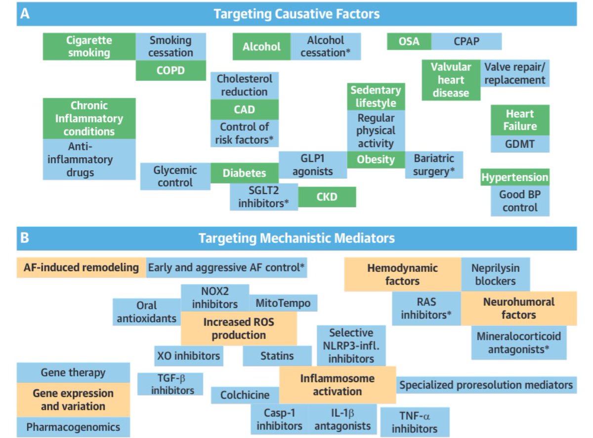 🔴Targeting the Substrate for Atrial Fibrillation 👉 As a therapeutic target for AF, atrial cardiomyopathy is not addressed by ablation. 👉Biological and clinical data identify adjunctive approaches to AF management that can improve outcomes. @JACCJournals 📁