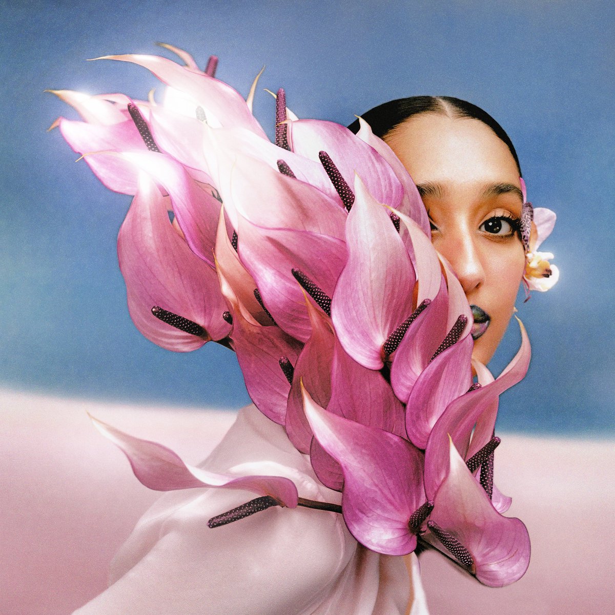 raveena_aurora's tweet image. The cover for my third album, “Where the Butterflies Go in the Rain” ❤ hint: she’s a Gemini