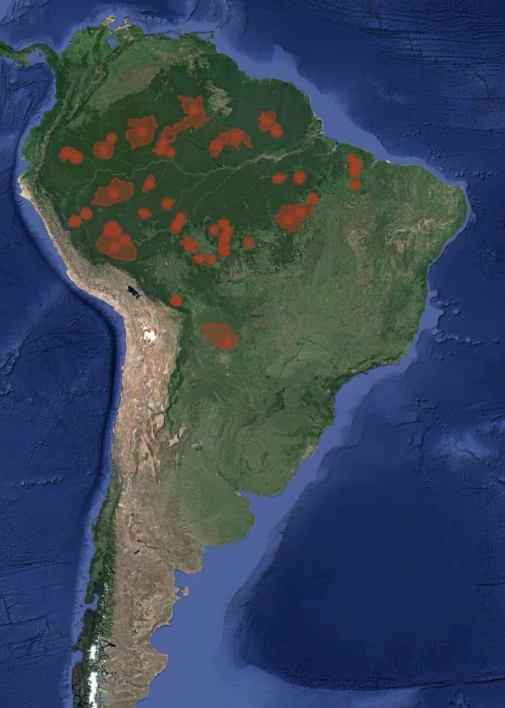theepicmap's tweet photo. Map of Uncontacted tribes in South America https://t.co/q8E2D7rGqm