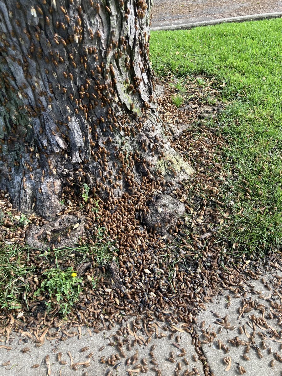 Jay Zawaski tweet media