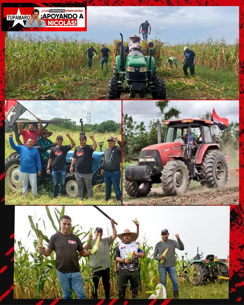 AnzoateguiMrt3's tweet photo. "Los campesinos son el verdadero pilar de la revolución y la soberanía nacional. Son ellos quienes trabajan la tierra, producen nuestra comida y sostienen el desarrollo de nuestra patria"
- Fidel Castro ⭐

@NicolasMaduro
#ConcienciaPatriótica https://t.co/wLnvylziVG