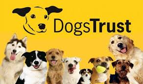 castr6738's tweet photo. #39canimals Dogs Trust do a lot to improve the lives of dogs. They have a lot of programs that help improve dog welfare such as rehoming centers. Make sure to check out their website linked below. 
https://t.co/szZ2ZZIJQm https://t.co/E60Y9ZH4e0