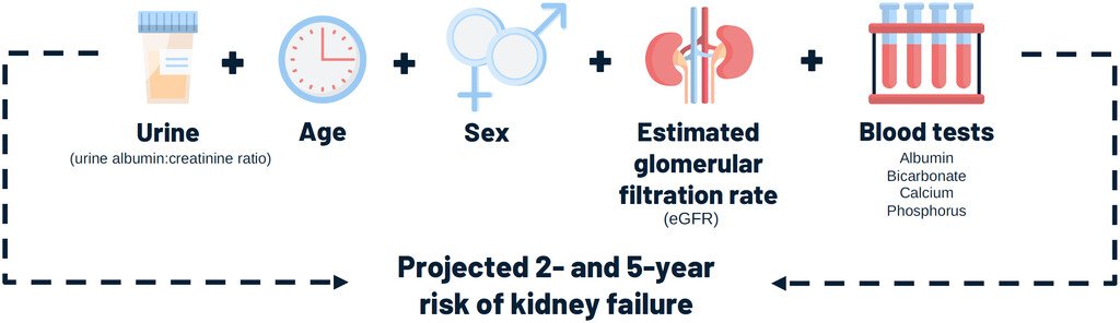 The kidney failure risk equation (KFRE) is the most widely used prediction model in nephrology to assess the risk of kidney failure among individuals with CKD. Could this model be used outside of nephrology? bit.ly/3yAgn02