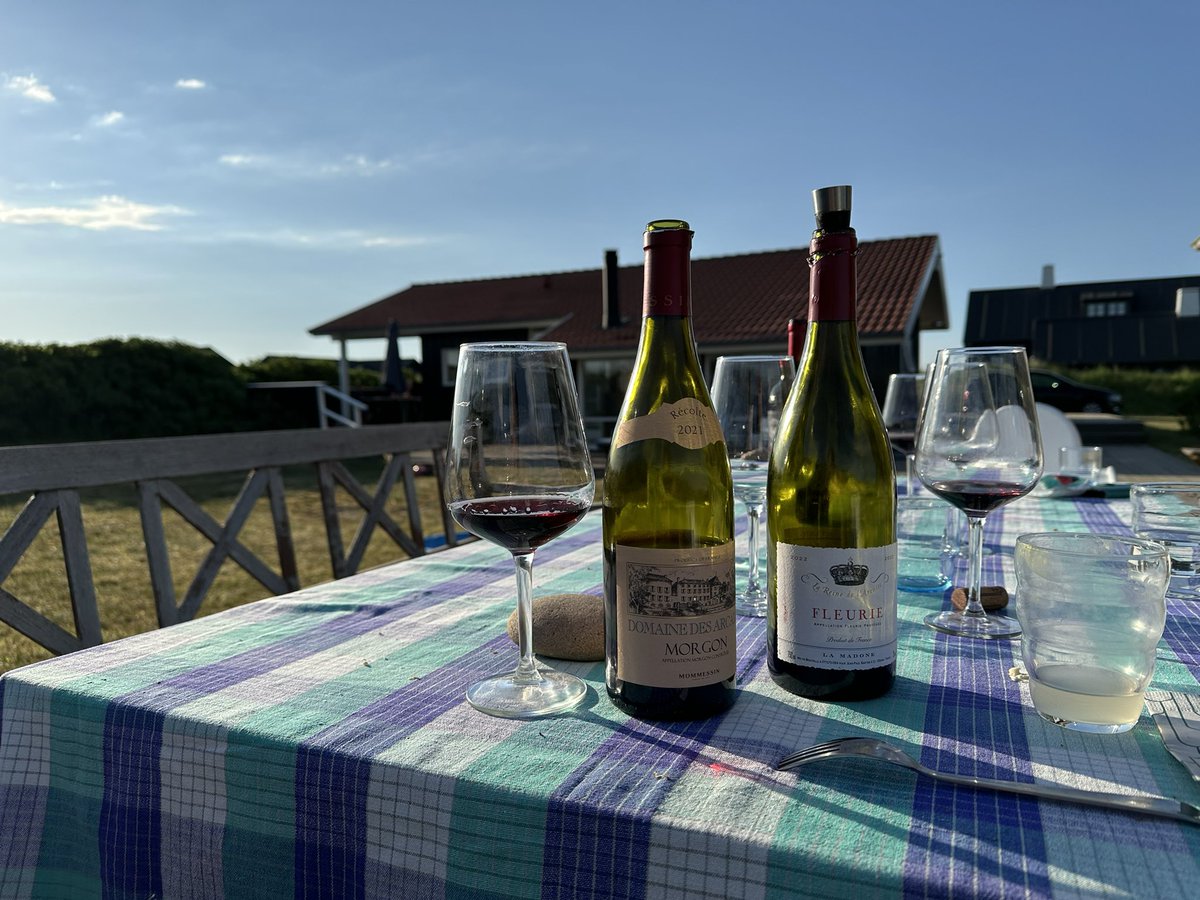 Current view: Beaujolais tasting with my mom. These two were a bit disappointing to be honest. The same Fleurie vintage ‘21 was stellar value for money. ‘22 boring AF. Morgon, quite intense but also on the boring side 
#beaujolais #winetasting #summerhouse #skagen