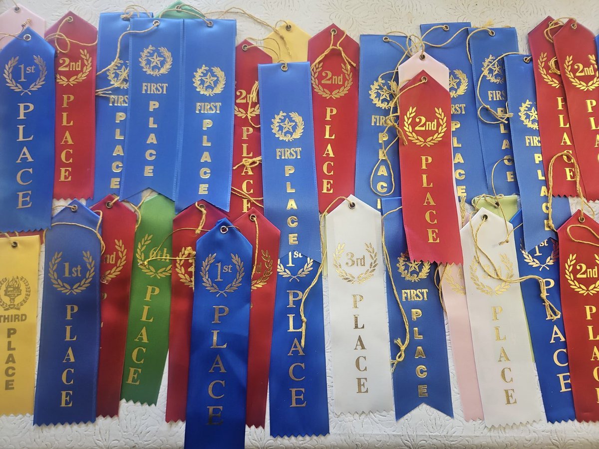 Magee Academy tweet media