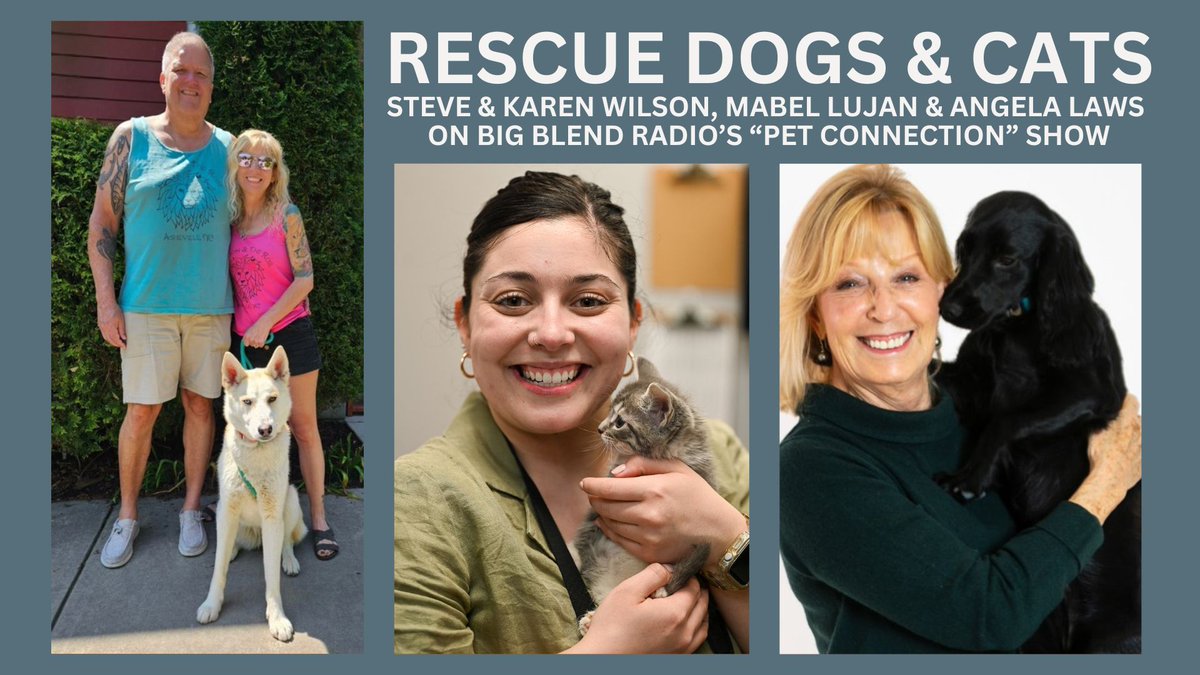 It's all about Rescue Dogs &amp; Cats on today's inaugural #BigBlendRadio Pet Connection Podcast w/ <a href="/TrustedAngela/">Angela Laws</a> <a href="/Housesitting/">TrustedHousesitters</a> <a href="/LionandRose/">The Lion and the Rose Bed & Breakfast</a> &amp; Asheville Humane Society. Listen: youtu.be/BRY122dYPNA #NationalRescueDogDay #PetPodcast