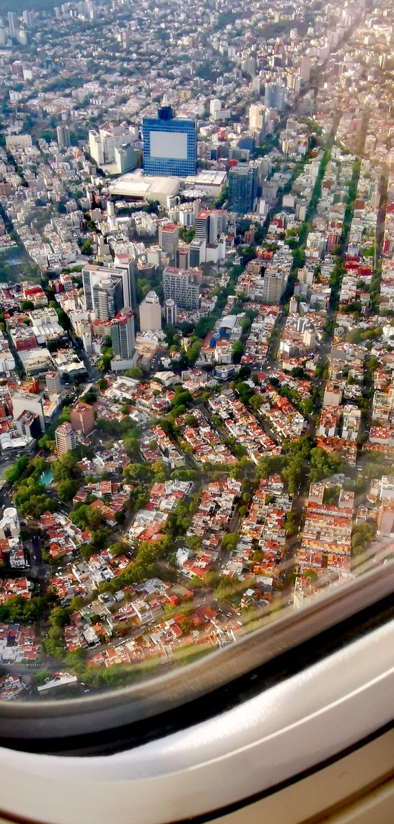 David37146120's tweet photo. Mi hermosa CDMX😍🥰❤️❤️ https://t.co/TAGTZVskkP