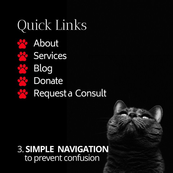 Viral Solutions tweet media