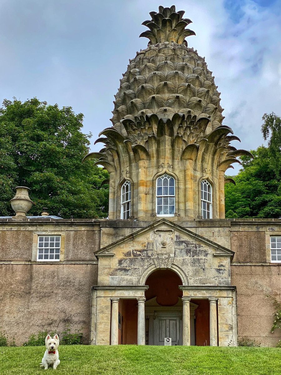 💡 FUN FACT: Did YOU know pineapples were grown in #Scotland in 1713? 🍍 This building was built as a summerhouse by the Earl of Dunmore back in 1761 when pineapples were among our most exotic foods! 🤯 📍 Dunmore Pineapple, near @VFalkirk 📷 @theweewhitedug