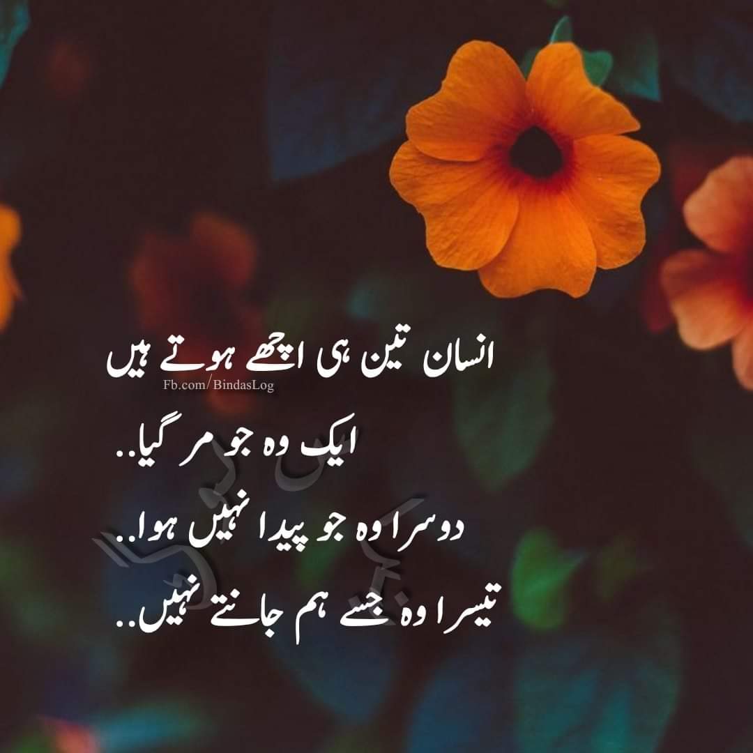 exactly 💯 

#اردو_شاعری #perletti #AuroraBorealis